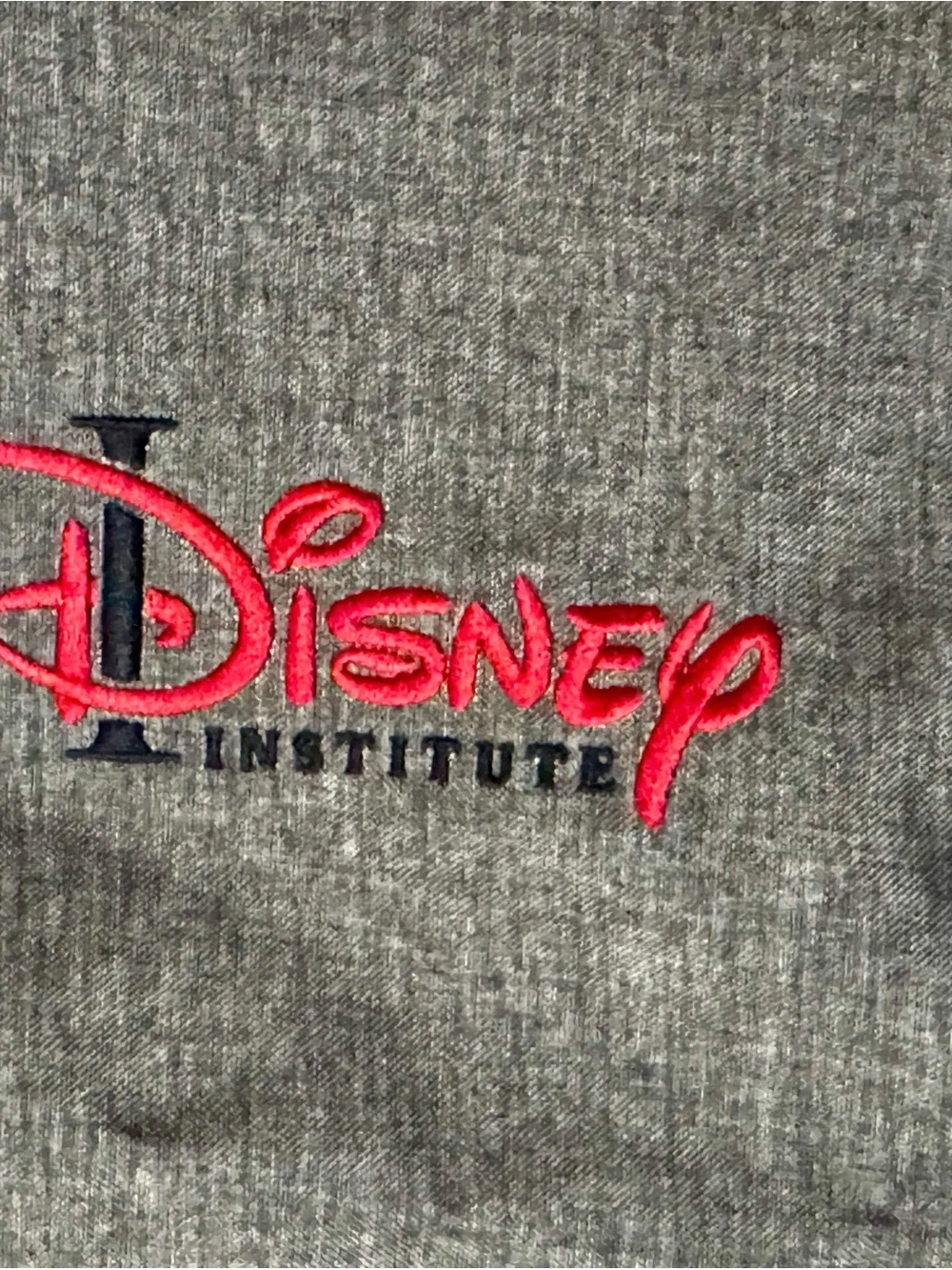 Disney official institute